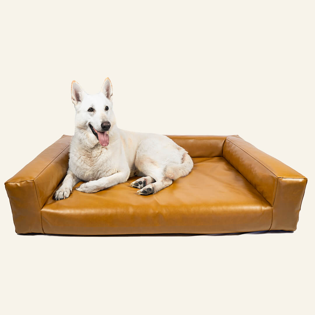 Large Dog Couch Dog Bed Cover – Blvd Co1