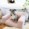 Small Dog Couch Cover